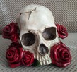 Czaszka w czerwonych różach skull red roses - 7