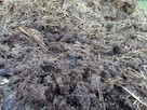 Naturalny nawóz, obornik, gnój koński i krowi. Workowany 35k - 2