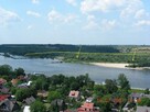 Działka Wojszyn gm. Janowiec - 14