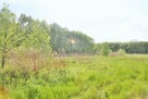 Działka pod lasem przy rzece Strzelce gm. Dobroszyce - 3