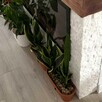 Panel Elewacyjny Stackstone Marmur Biały 36x10x1,3cm - 3
