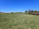 Działka siedliskowa - siedlisko 2,8ha Siedlec gmina Janów - 7