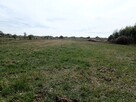 Działka siedliskowa - siedlisko 2,8ha Siedlec gmina Janów - 4