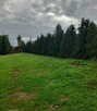 Do sprzedaży duża działka z małym domkiem - 2