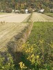 Działka 480/1 w Parchatce okolice Kazimierza - 9