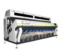 Color Sorter , Separator optyczny Nr.1 na Rynku . - 5