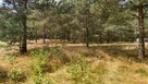 Działka budowlana z linią brzegową jeziora - 4