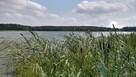 Działka budowlana z linią brzegową jeziora - 3