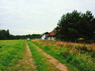Działka pośród lasów Malerzów gm. Dobroszyce - 6