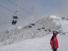 Wyjazdy na narty, snowboard po Polsce i Europie - 2