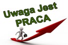 Praca w sklepie Żabka Chełm