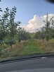 Działka rolna sad - 3
