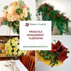 Wykładowca florystyki - Wrocław