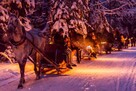 Sylwester z kuligiem w Dolinie Chochołowskiej k/Zakopanego ! - 4