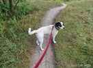 Kochany uśmiechnięty Aniołek BŁAGA o kochający domek - 5