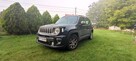 Jeep Renegade 2019 - 1