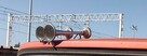 Martin Horn Signal Zestaw 24V - 3