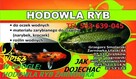 Ryby narybek rośliny pokarmy - 3
