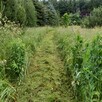 Koszenie trawy, nieużytków, arka bijakowa, karczowanie.Busko - 13