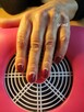 Manicure - 12
