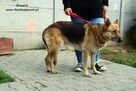 Bawaria - starsza owczareczka - 6