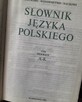 Słownik języka polskiego PWN 3 tomy - 4