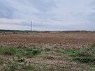 Na Nowym osiedlu, okolice Tarnowa, Kaźmierz - 3
