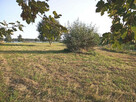 Lubichowo - 6