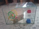 Terrarium Dla Chomika - 5