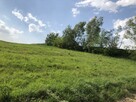Działka do wynajęcia - 7