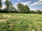 Działka do wynajęcia - 2