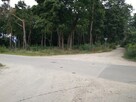 Sprzedam atrakcyjną działkę budowlaną w Wieńcu blisko Włocła - 1