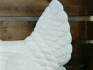 Kura szklana 21.5cm ząbkowice - 4