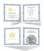 Srebrne monety: Italia i Germania 1oz, Fenrir 1oz, Biały Lew - 7