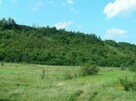 Działka rolna Brześce gm. Janowiec - 2