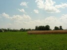 Działka budowlana Żalin-Kolonia gm. Ruda-Huta - 3