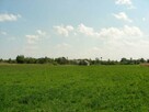 Działka budowlana Żalin-Kolonia gm. Ruda-Huta - 6