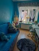 Sprzedam mieszkanie 2 pokojowe 75m - centrum Kłodzko - 8