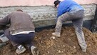 Iniekcje ciśnieniowe, hydroizolacje piwnic, izolacje murów - 6