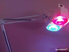 Lampa solux czerwona i niebieska żarówka na statywie - 2
