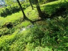 Wiejska posiadłość z lasem, rzeką i ogrodem - 11