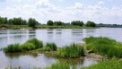Działki budowlane 6200m2 k/Zakroczymia za 60 zł/m2 - 3