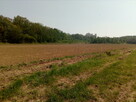 Działka budowlana 1200 m2 Morzęcin Mały+ droga - 4