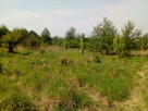 Działka budowlana 1200 m2 Morzęcin Mały+ droga - 2