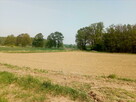 Działka budowlana 1200 m2 Morzęcin Mały+ droga - 5
