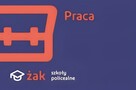 nauczyciel/wykładowca