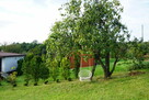 Działka rekreacyjna ROD Karolinka w Cieszynie - 9