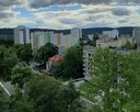 Mieszkanie 3 pokojowe przy ul. Lea, do wynajęcia. - 7