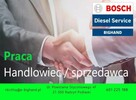 Sprzedawca/ handlowiec motoryzacja