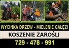 Usuwanie Pni Korzeni Usługi Ogrodnicze Skawina Kraków - 7
